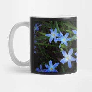 Scilla Flowers In The Morning Mug